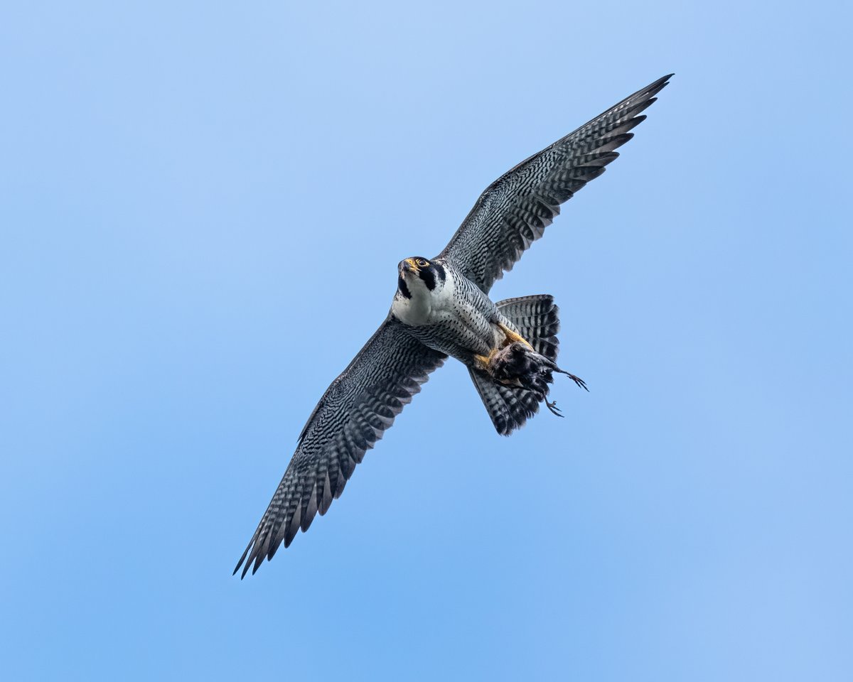 Deliveroo at Lincoln Cathedral.