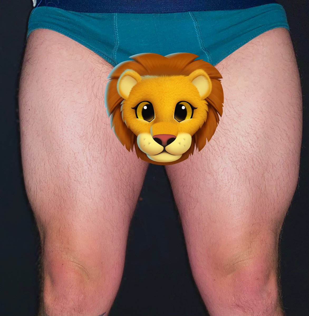 FootlooseClub's tweet photo. Cum and massage these legs? - Lion 

#onlyfans #rugbymen #rugbythighs #bigmen #biglegs #jockmen #hairymen #menbulge #menunderwear #stockymen #adultcontent https://t.co/TEQKD6lxE2