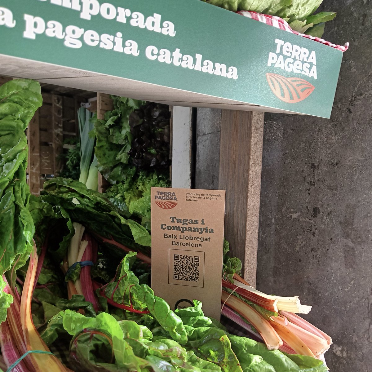 TerraPagesa's tweet photo. Avui us presentem el racó de #TerraPagesa a la botiga Km Verd del c/ Josep Estivill del barri de Navas-La Segrera a Bcn.🥬🍑🥔

Una manera diferenciada de presentar els nostres productes. I amb QR, per conèixer quin pagès o pagesa els ha produït!

#SiguesTerraPagesa
#TerraPagesa https://t.co/hvNv8G4112