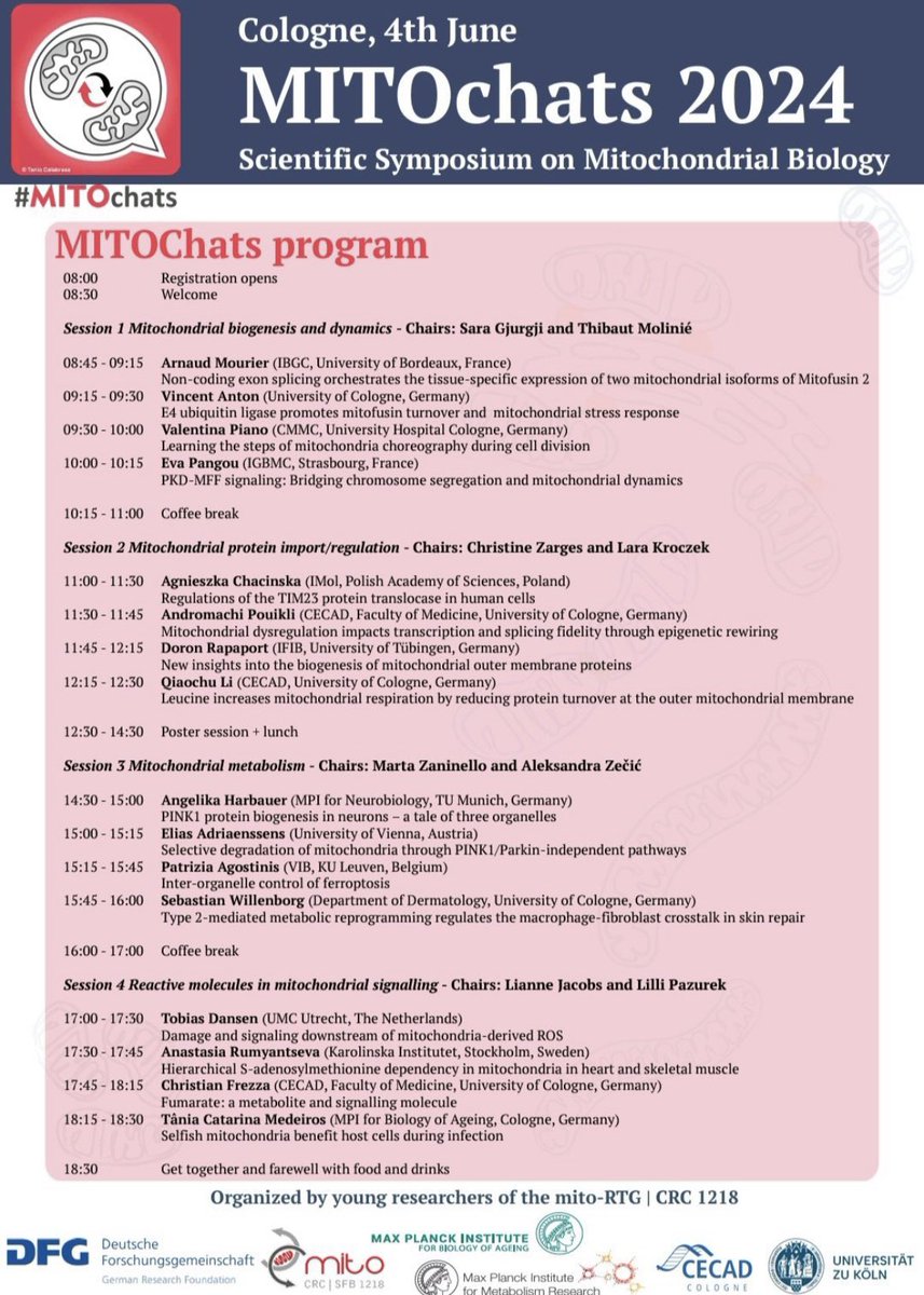 Sara Gjurgji (@sgjurgji) on Twitter photo 💥 A fantastic day of Mitochondria Science in Cologne! A day filled with outstanding line up of speakers and exellent science!
Thank you to everyone who contributed to making this event a success!
#mitochondriaScience #cologne #mitochats2024
<a href="/CRC_1218/">CRC_1218</a> <a href="/CECAD_/">CECAD Cologne</a> <a href="/MPIAGE/">MPI for Biology of Ageing</a> 💥 A fantastic day of Mitochondria Science in Cologne! A day filled with outstanding line up of speakers and exellent science!
Thank you to everyone who contributed to making this event a success!
#mitochondriaScience #cologne #mitochats2024
<a href="/CRC_1218/">CRC_1218</a> <a href="/CECAD_/">CECAD Cologne</a> <a href="/MPIAGE/">MPI for Biology of Ageing</a>