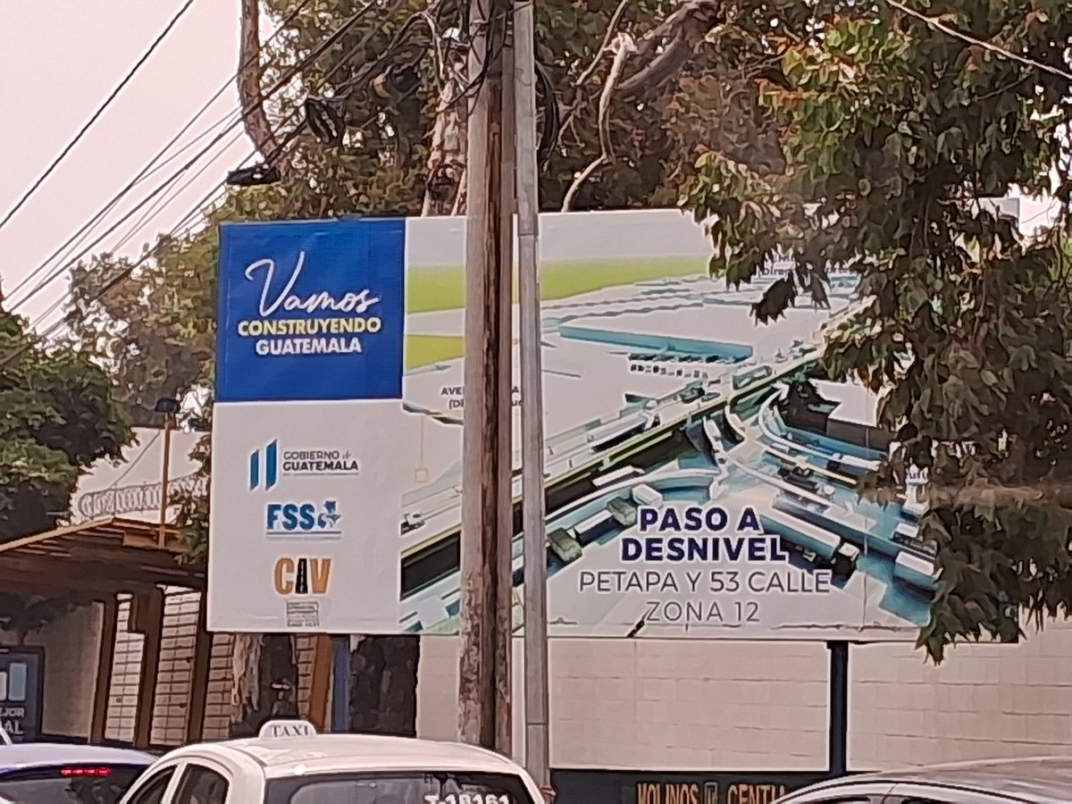 _79082's tweet image. A paso, de tortuga o algún día