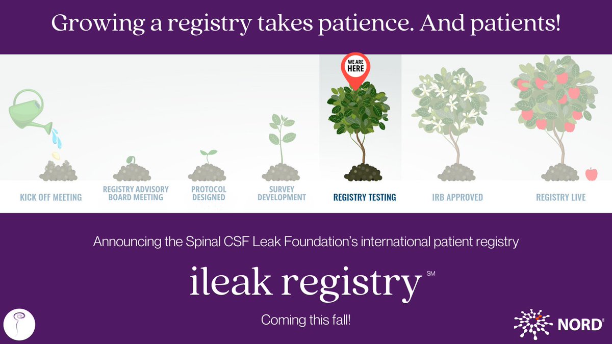 spinalCSFleak's tweet photo. COMING THIS FALL: the Spinal CSF Leak Foundation's international patient registry! Growing a registry takes patience, and once it's ready to launch, it will also need patients. That's where YOU come in! Read on for more info:
https://t.co/LWNz9VPIxP https://t.co/ZqxuLIGHeU