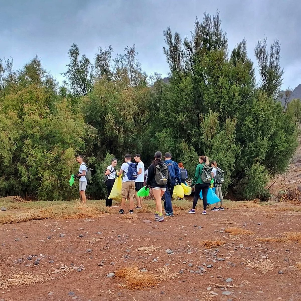 Nos sumamos a una nueva edición de #1m2contralabasurleza en el entorno del #HumedalLaMarciega en #LaAldeadeSanNicolás. Junto a  
<a href="/aytodelaaldea/">Ayuntamiento de La Aldea de San Nicolás</a> <a href="/ecoembes/">Ecoembes</a> <a href="/SEO_BirdLife/">SEO/BirdLife</a> <a href="/seocanar/">SEO/BirdLifeCanarias</a>

♻️Un total de 52,2kg de #Basuraleza fueron liberados de este espacio natural. 

#proyectoLIBERA