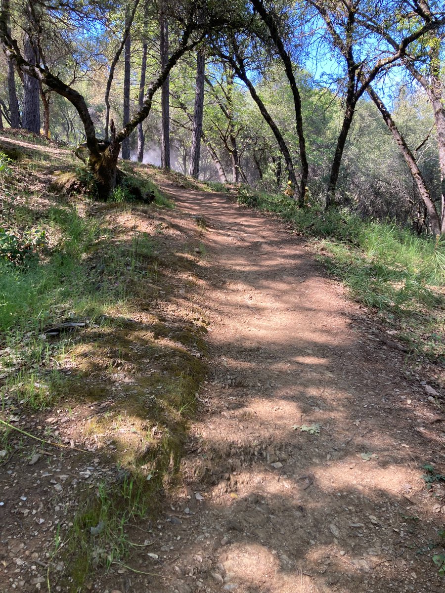 CALFIREAEU's tweet photo. Exciting news! @CALFIREAEU, @ELDO_Co_Fire &amp;  @cityofplacervil, have begun a fuels reduction project at Gold Bug Park &amp; Mine in Placerville. This collaboration will enhance fire safety, improve trail accessibility, and add to the park's beauty. Details at: https://t.co/nnWJ4JOohS https://t.co/v90PfPIrOT