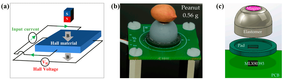 Biosensors_MDPI's tweet photo. #Review
Recent Progress of Biomimetic Tactile Sensing Technology Based on Magnetic Sensors by Jiandong Man, et al.
https://t.co/S1PKsoDraM

@MDPIOpenAccess @ChemMatSci_MDPI @UCAS1978
#biomimetictactilesensing #magneticsensor #sensorapplication #openaccess https://t.co/JWrhZVTHGK
