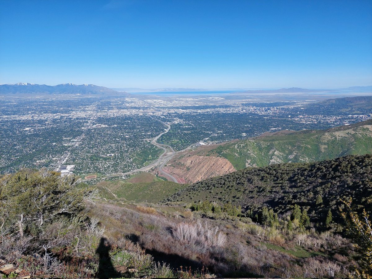 Alvaro Robledano tweet media