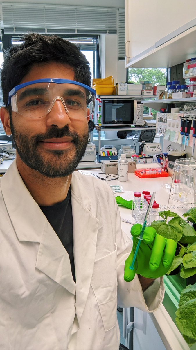 That one day of the year when you look up like a proper Scientist (but you're actually just afraid of an Agrobacterium squirt into your eyes) 🤭