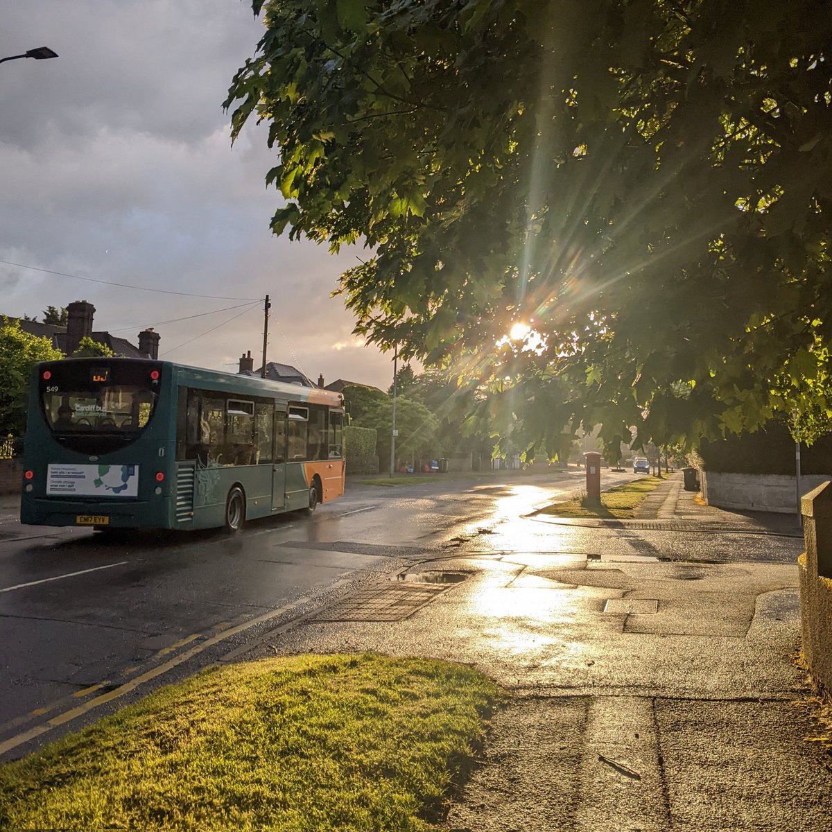 PHJenkins's tweet image. A beautiful and bright low sun in Cardiff, following some quite determined rain.

Cameo from a 63 Bus.