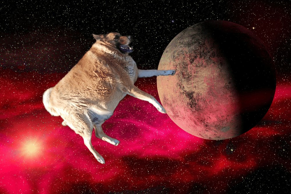 Barschen tweet picture