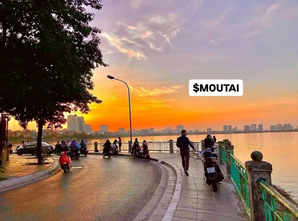 ReevesF12's tweet photo. There's nothing quite like watching the sunset over West Lake, Vietnam, with a cup of tea in hand. Pure bliss. @moutai_sol @jambotechnology $MOUTAI https://t.co/D9rCatcDQm