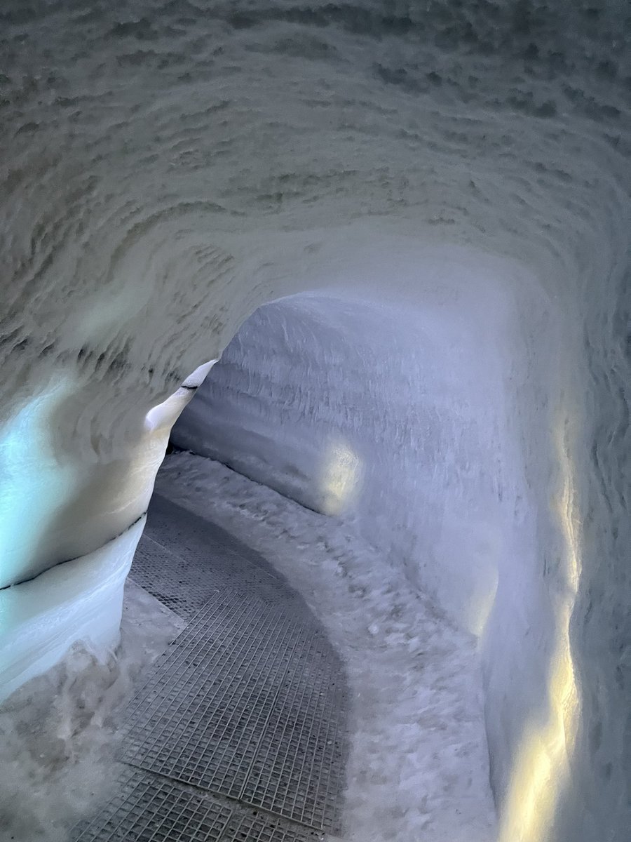 xxCharlottexx tweet media