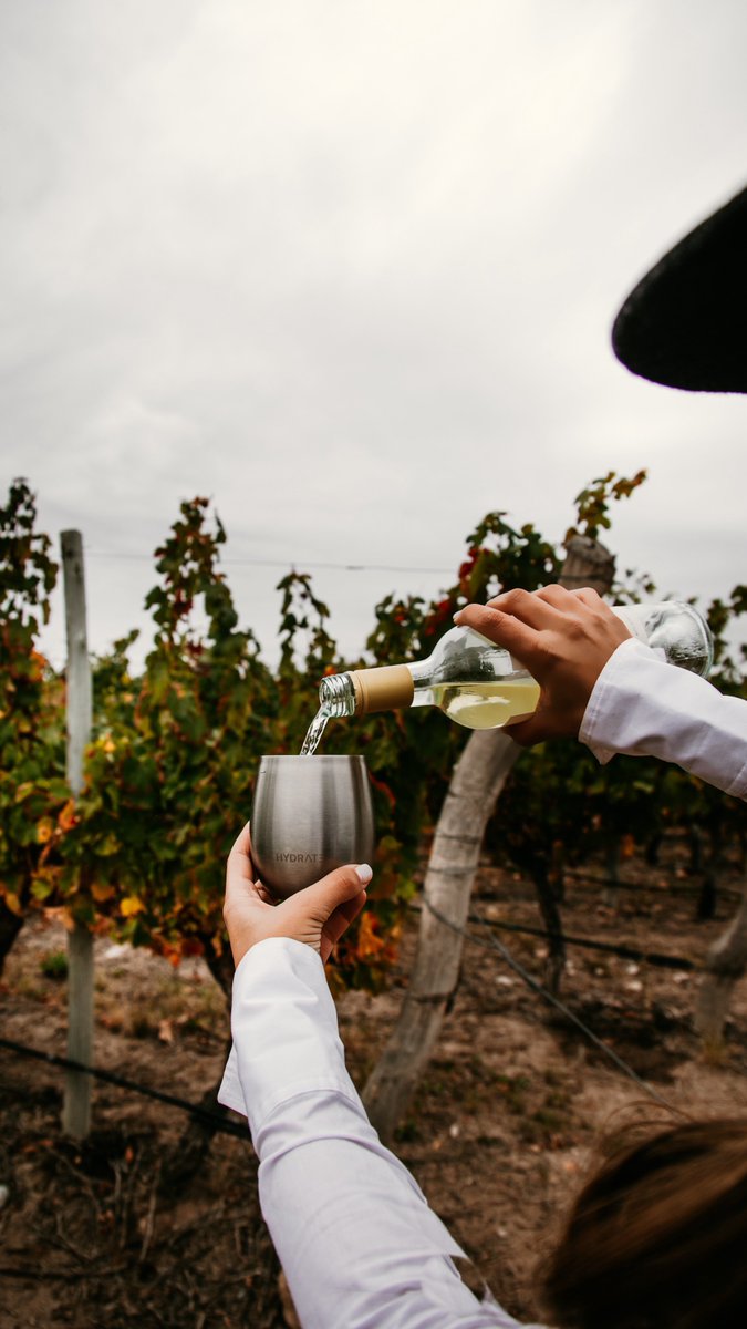 Pronóstico de la semana: Mucho vino🍷🍇
Podés llevar tu copa Hydrate a donde quieras para que nada detenga tus ganas de un vinito.