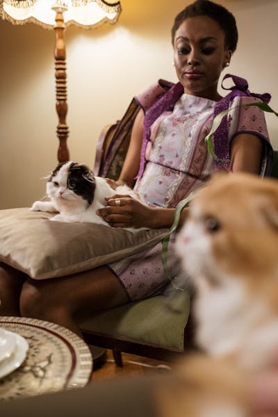 raees230's tweet photo. I love cats lover #csm167 https://t.co/7Ua54gVpHA