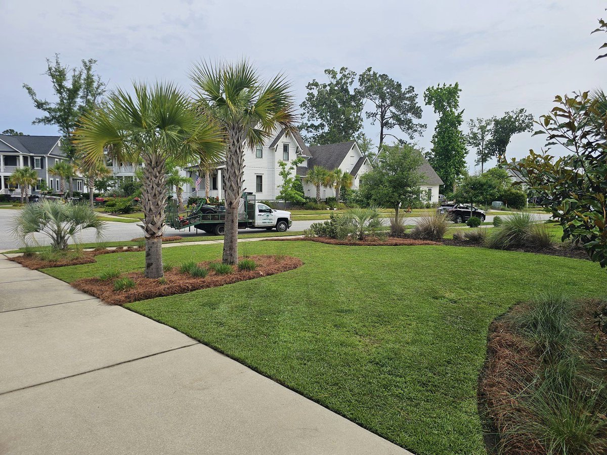 PleasantScapes's tweet photo. We can be your one stop shop to give your palms a boost this summer with palm tree fertilization and a fresh pruning! Give us a call at 843-886-9314 🌴

#palmpruning #palmetto #lowcountrysc #greenlawn https://t.co/30TfvN4yeU