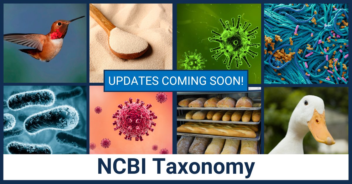 NCBI is making improvements to our Taxonomy resource in response to new data and changes in biological nomenclature and classification. We will update the higher-level classification of birds, budding yeasts, prokaryotes, and viruses. Learn more: ow.ly/22fZ50S8C6P
