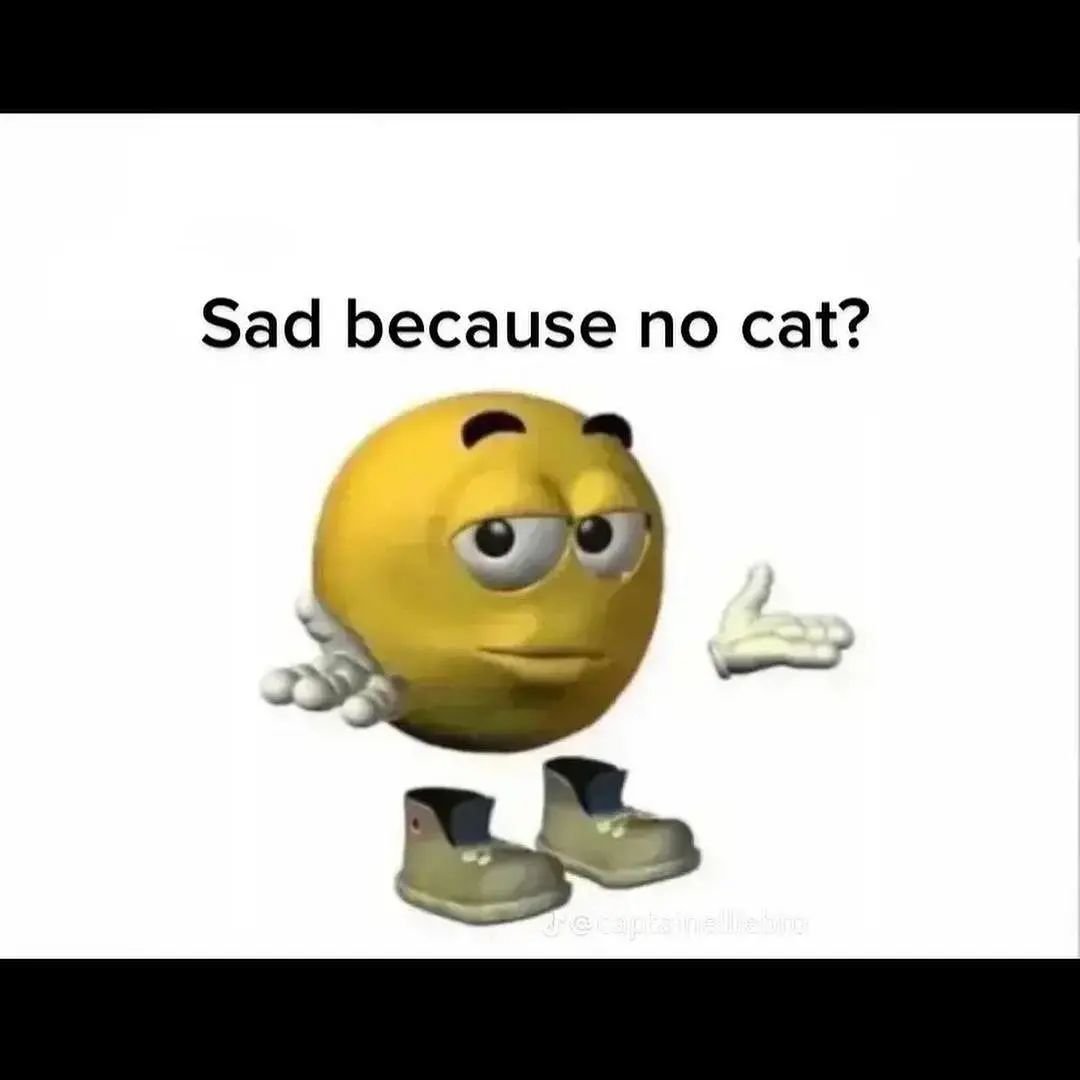 PunchingCat's tweet photo. https://t.co/KtfL5EDR49