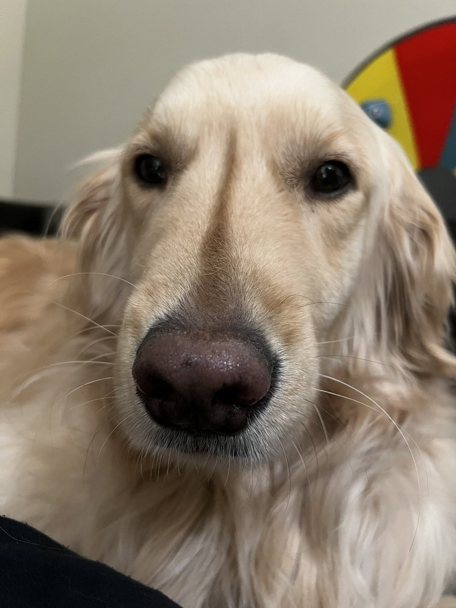 Liquid Crispy tweet media