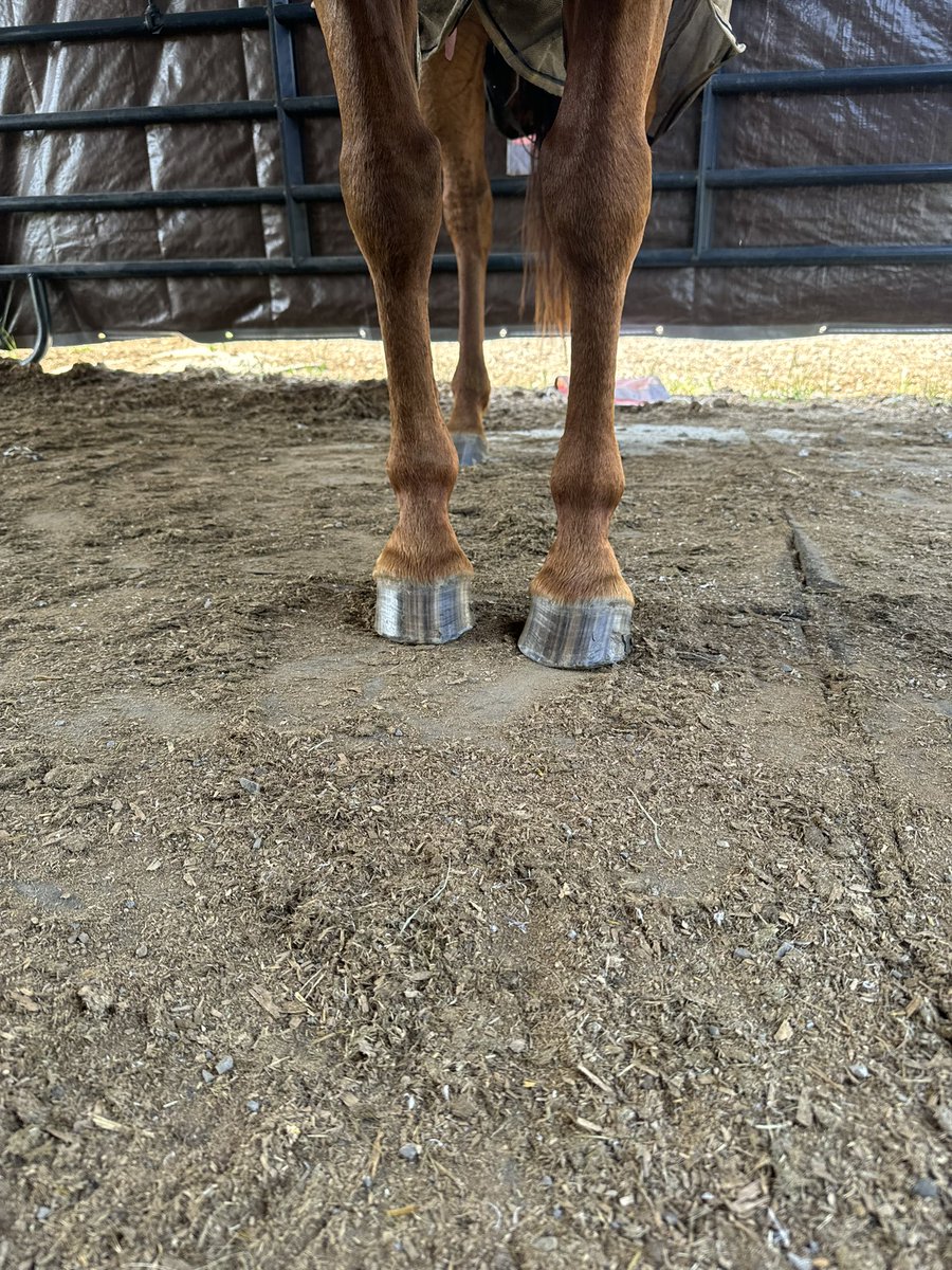 The fact that Lucy’s bony changes in her feet are visible from the outside 🫣