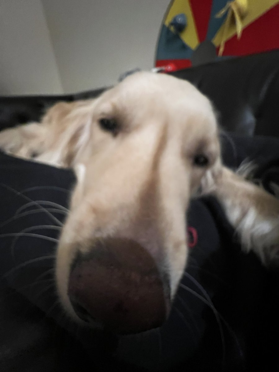 Liquid Crispy tweet media