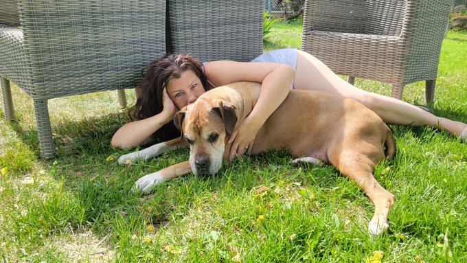Journ&eacute;e triste 😭notre chien nous a quitt&eacute;, mort naturelle de vieillesse 2011- 2024 bon voyage notre amour😘❤️<a href="/tag/xhamster"class="tags"><span>#xhamster</span></a>