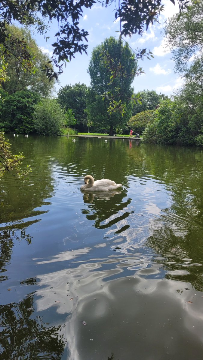 roo_suzy's tweet photo. Summer in Dublin, Ireland🦢🌤🩵

♡ Go, Get out and Create your own beautiful view ♡ https://t.co/sai2JmXhl9