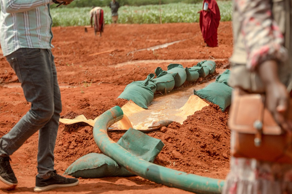 EPeterschmitt's tweet photo. Impressed to see firsthand how @FAO, govt and #UN partners joint resilience program in #Dolow is enhancing #sustainable food security and #livelihood opportunities for vulnerable households by providing cash, training, inputs and infrastructure dvt support.

#Resilience https://t.co/Ya9EIxAOw8