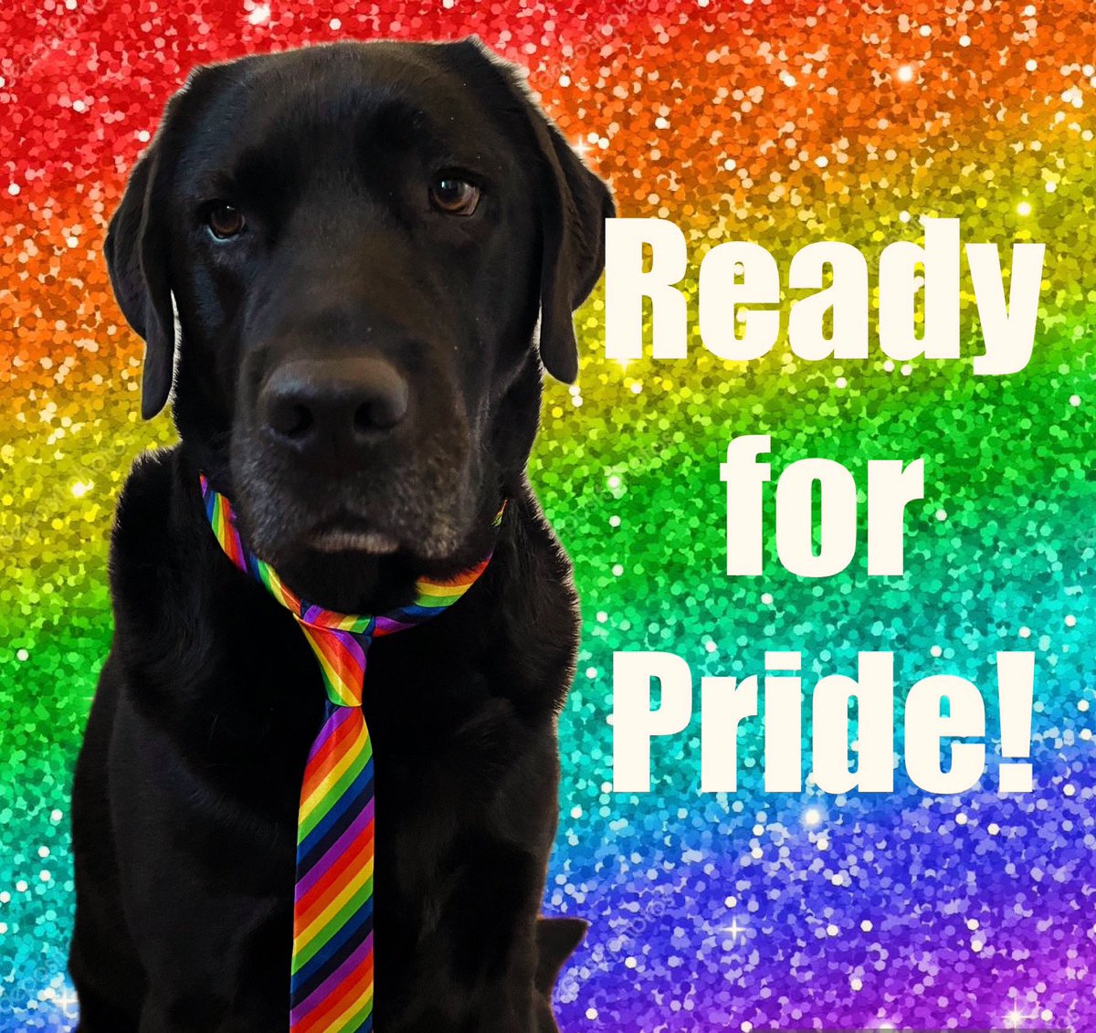 Max Austin tweet media