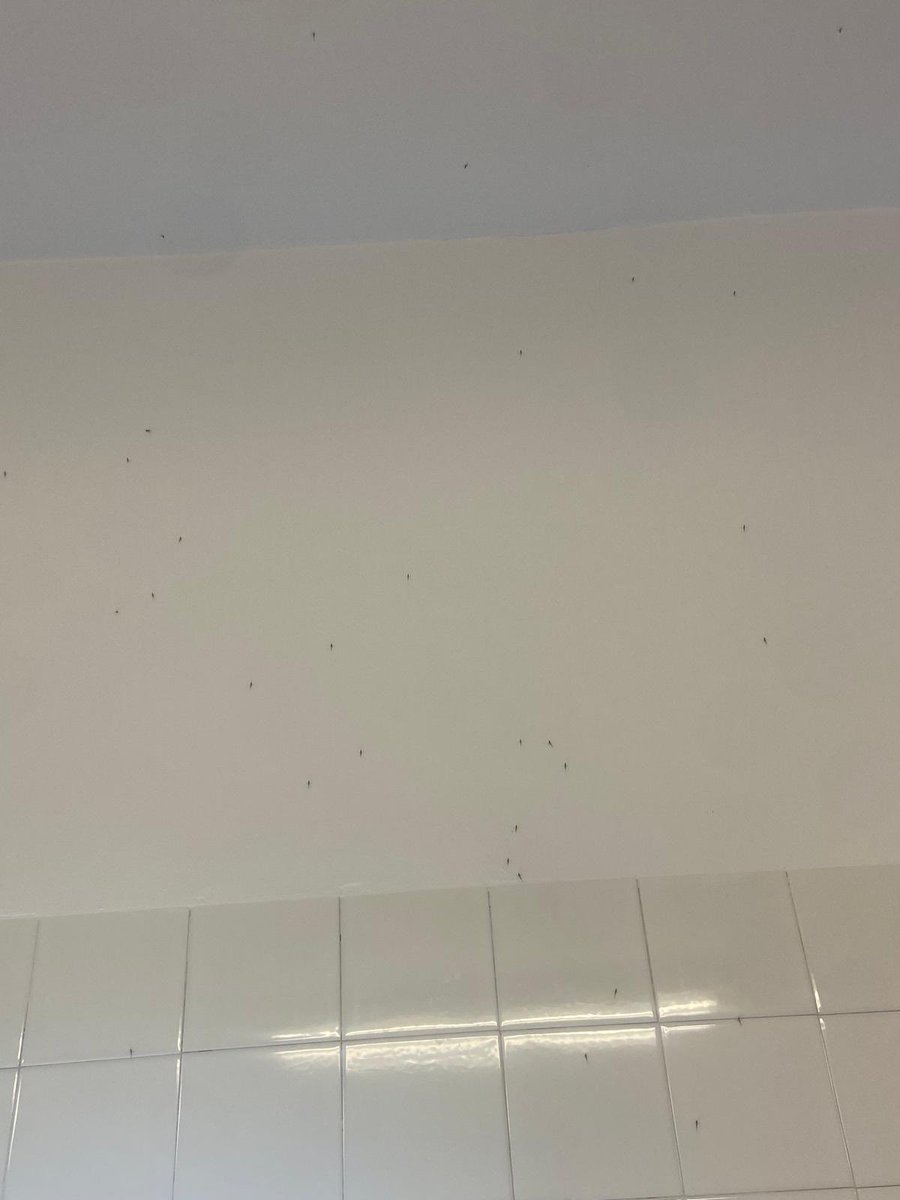 RSTenis Hockey DHA tweet media