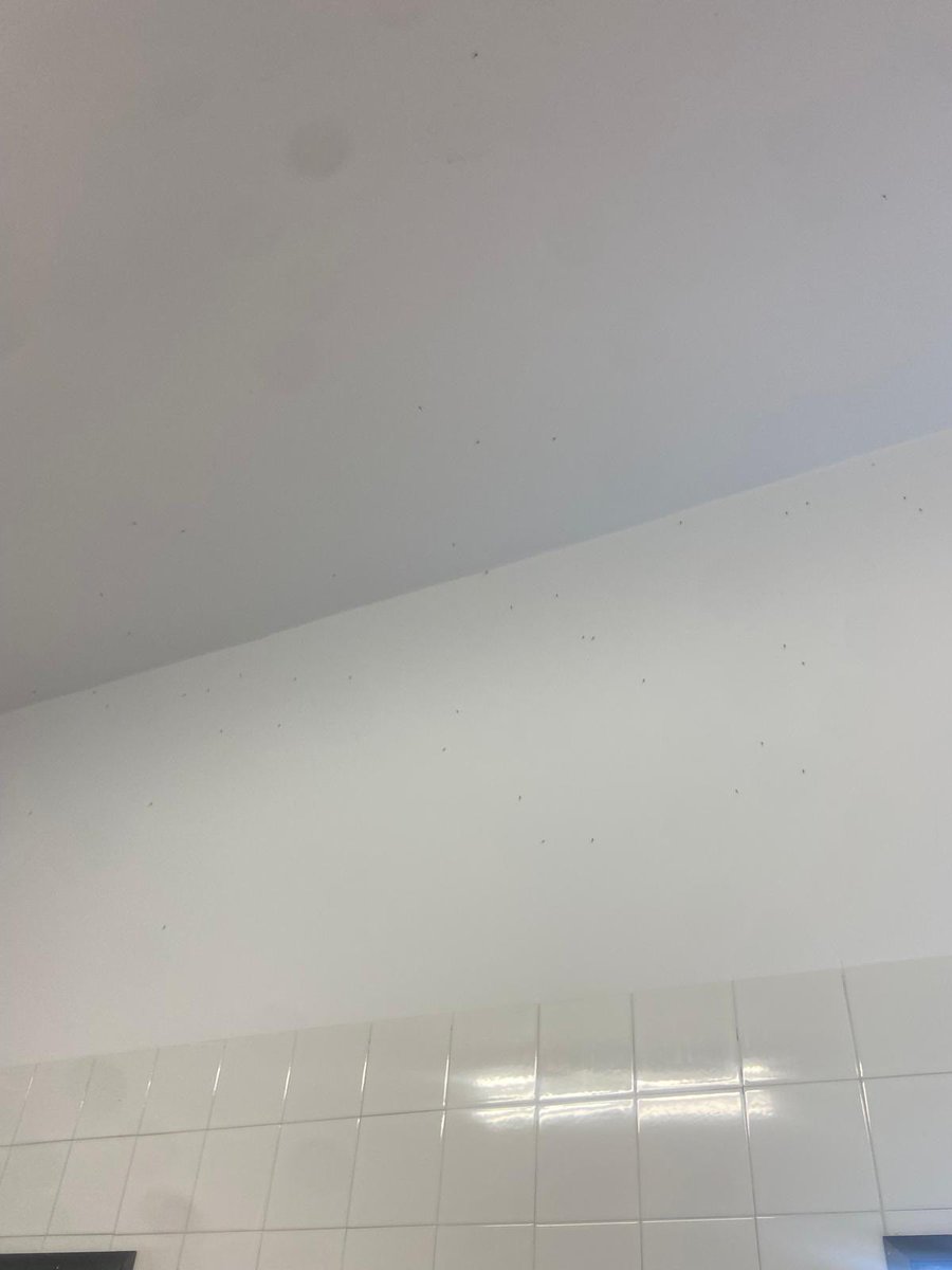 RSTenis Hockey DHA tweet media