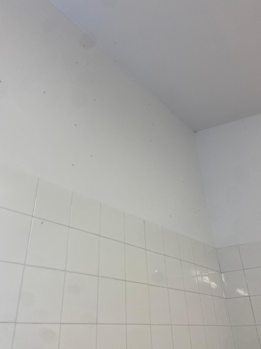 RSTenis Hockey DHA tweet media