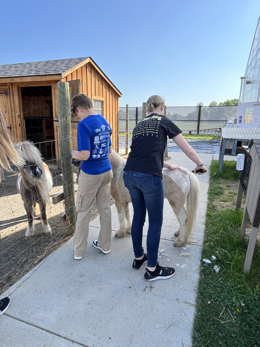 Karissa Kester tweet media