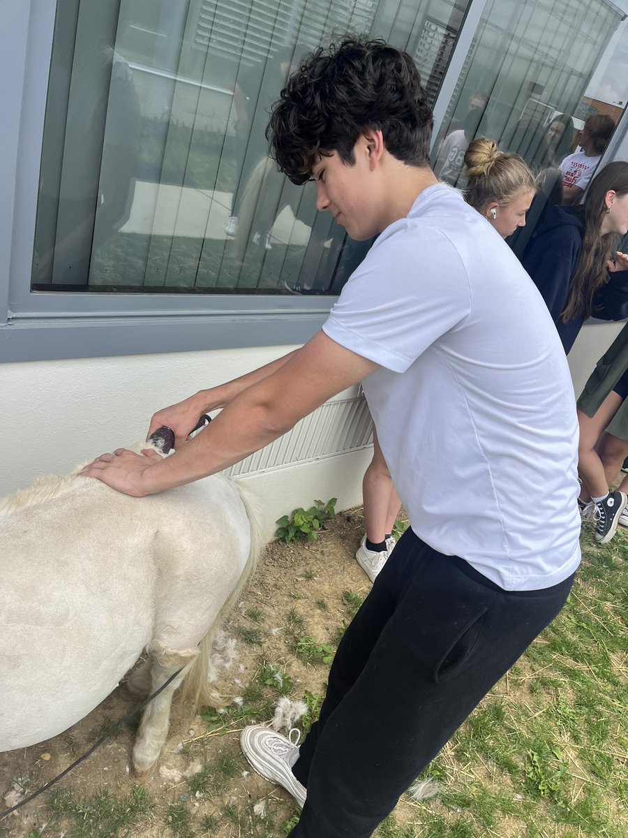 Karissa Kester tweet media