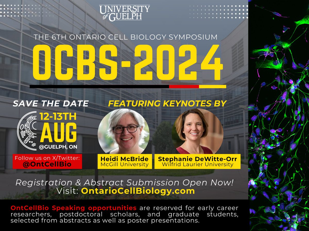 Edmond Chan tweet media