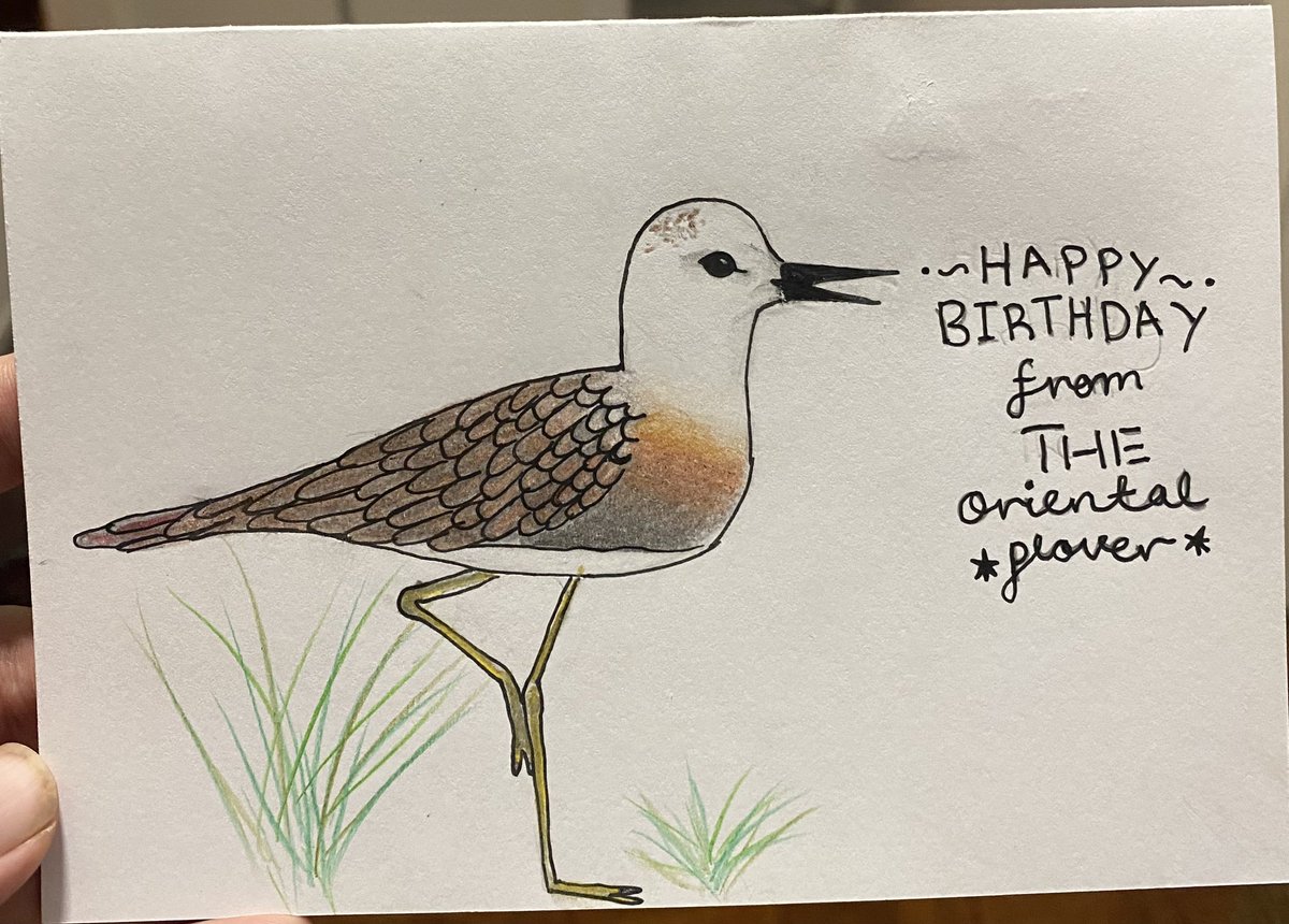 JWTHogg's tweet photo. Daughter No.1 (11yrs) definitely knows her target audience! I do love a wader and an Oriental Plover will be a super tick after our move to Singapore. 

Drawn freehand from a photo. So we just need to arrange her a guidebook deal now…

#birds https://t.co/2S2Aex9Tt1