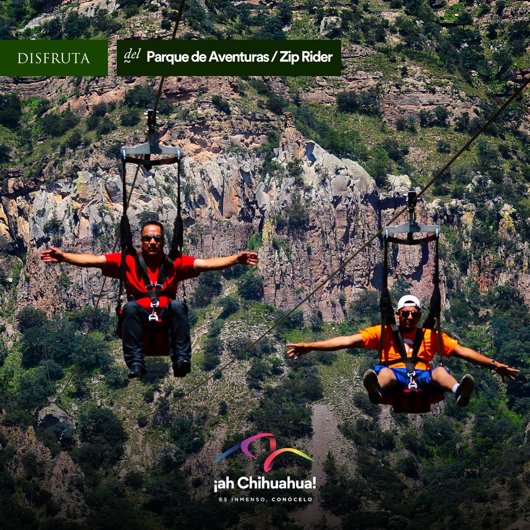 ahChihuahua's tweet photo. Vuela por las Barrancas del Cobre en la tirolesa o en el Zip Rider.
La emoción es insuperable, ¡atrévete!
#ChihuahuaEsInmenso
#ParqueBarrancas
#ZipRider https://t.co/2leutumaL9