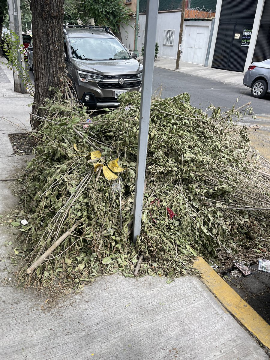 tereponceee's tweet photo. @BJAlcaldia @betotok @AccionesBJ ya cumplimos un mes que vinieron a cortar el árbol y no se llevaron las ramas. Monte Alegre  No. 34 entre Miraflores y Miravalle. Col. Portales Oriente https://t.co/QjVvWfLkvH