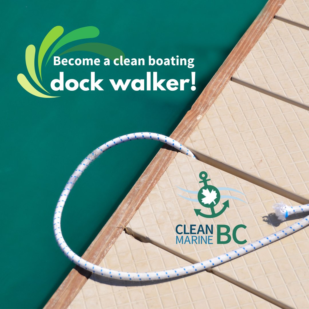Clean Marine BC tweet media