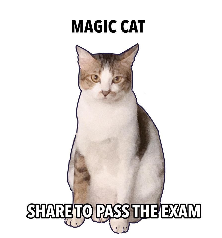 HO BISOGNO DI TANTISSIME CANDELINE PER DOMANI PER FAVORE GATTINO FAMMI PASSARE L’ULTIMO ESAME DELLA TRIENNALE 😭😭🕯️🕯️🕯️🕯️🕯️🕯️🕯️🕯️🕯️🕯️🕯️🕯️🕯️🕯️🕯️🕯️🕯️🕯️🕯️🕯️🕯️🕯️🕯️🕯️🕯️🕯️🕯️🕯️🕯️🕯️🕯️🕯️🕯️🕯️🕯️🕯️