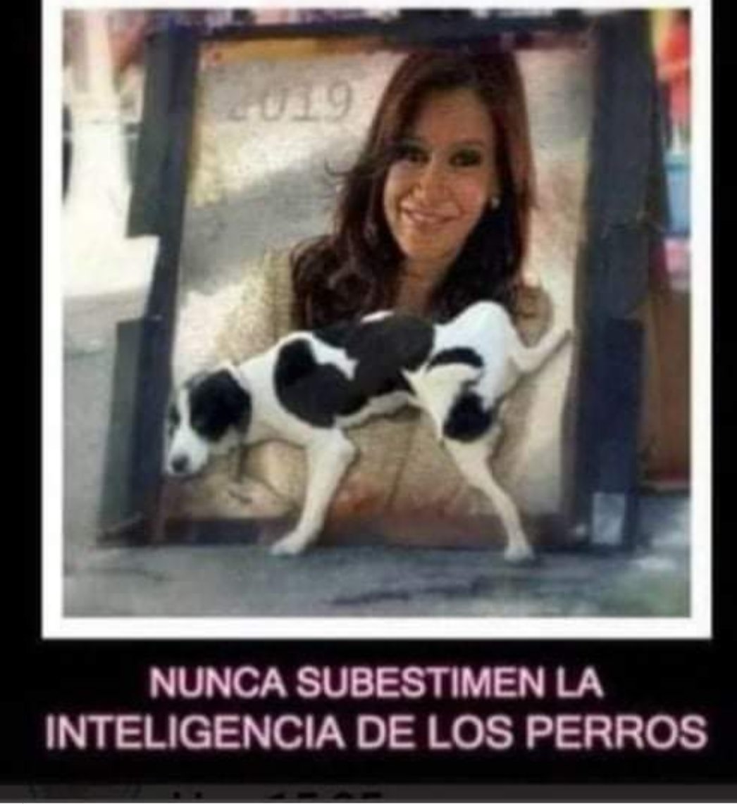 CarlosPC💛💛💛💪💪 #ProyectoMacri tweet media