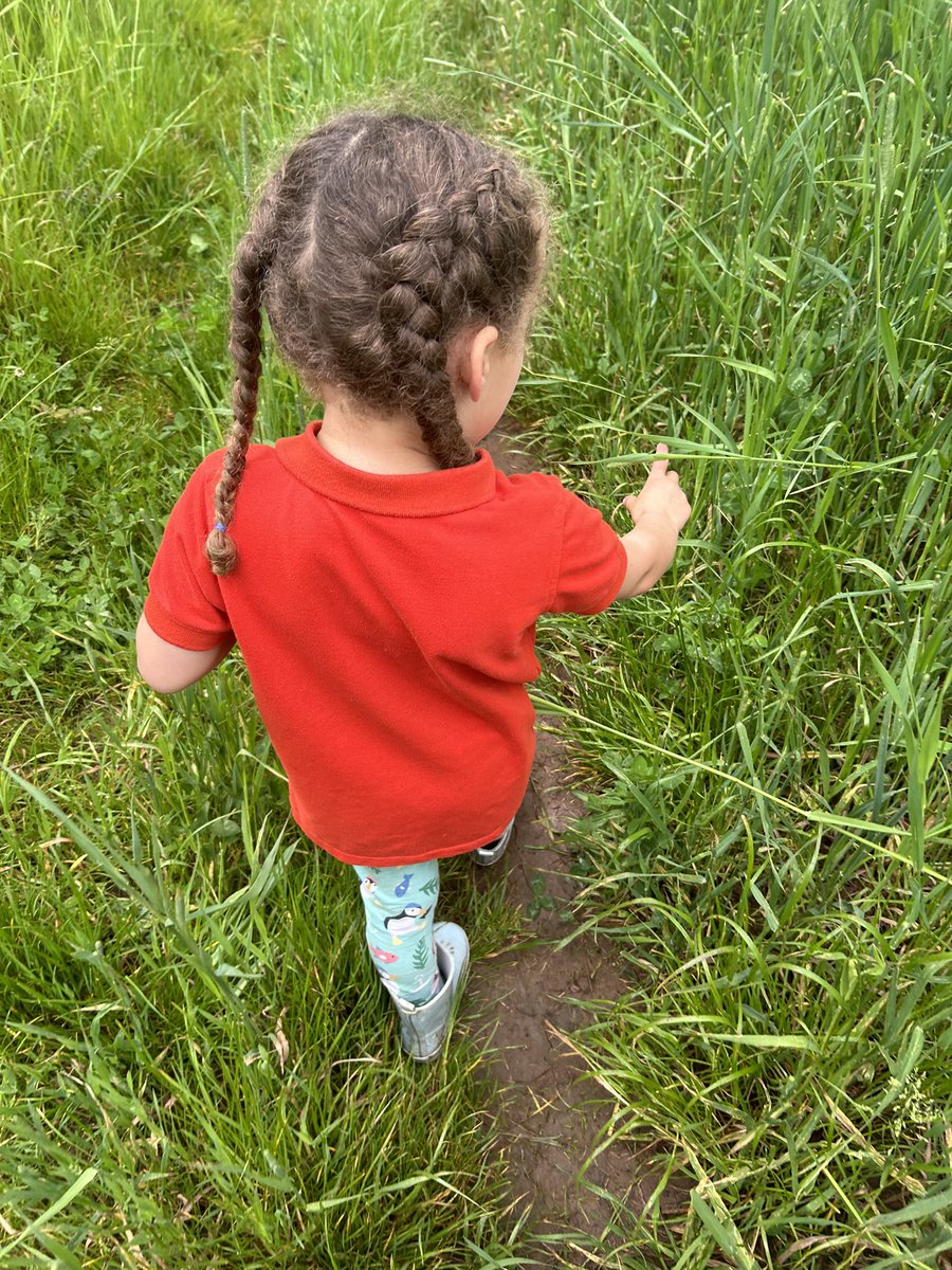 Katy__Perry's tweet image. Amazing how much further she’ll willingly walk when she’s ‘hiking’ with her squirrel friends #scouts 3 miles after a full day too! 🎉