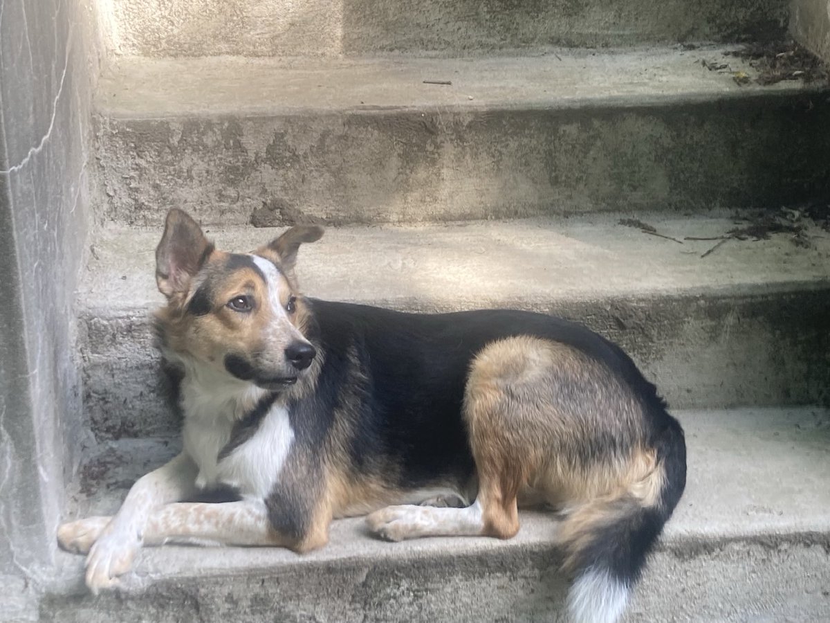 Lisa Peet tweet media