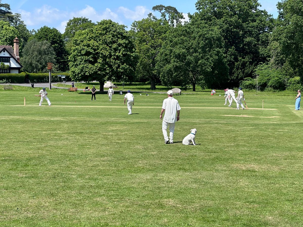 Leigh Cricket Club tweet media