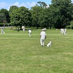 Photo by Leigh Cricket Club (@LeighCCKent)