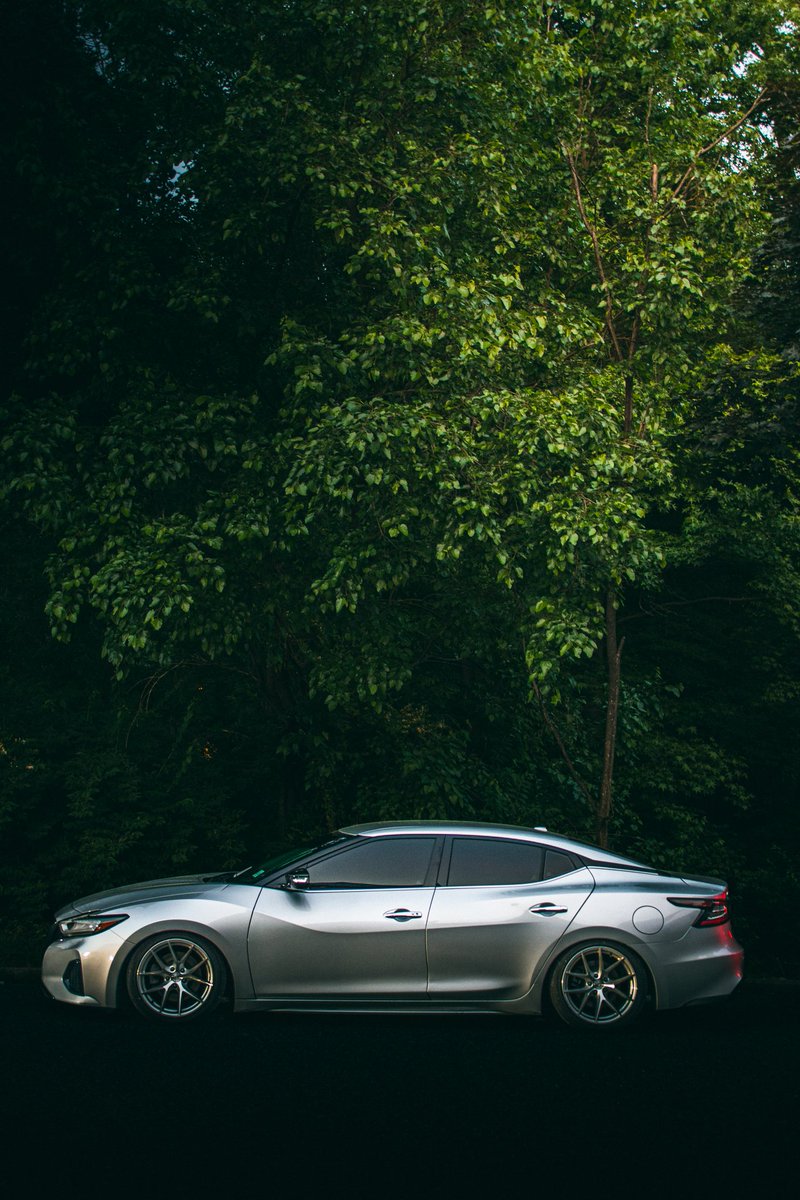 dogwittacamera's tweet photo. Light room my best friend fr.
📷 by meeeeee :3
#JDM #photography #stancecar https://t.co/QB1zyrJuwT