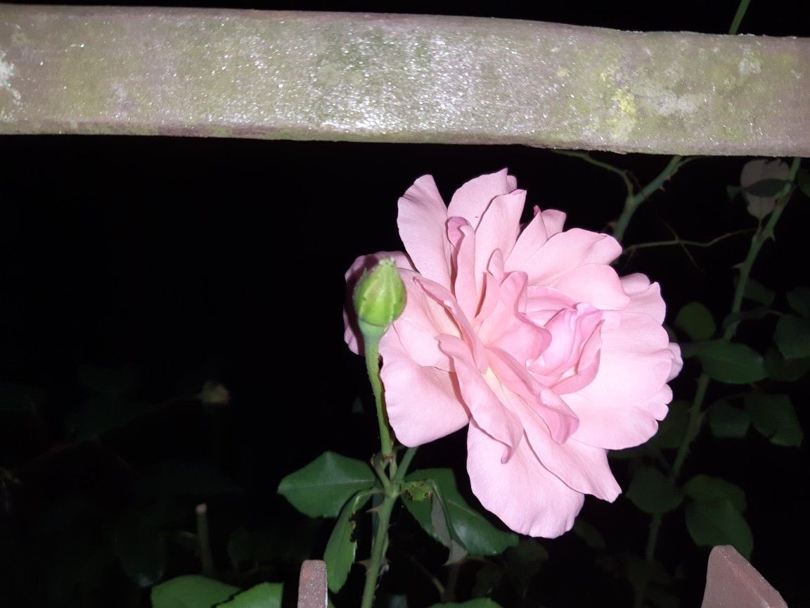 ِ (@controdicting) on Twitter photo 