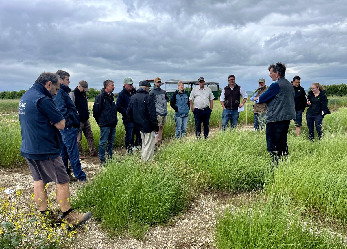 John Fairey (@hampshirefairey) on Twitter photo Not the best June day, but really good get together for leading UK grass seed growers and advisers. Justin Bidwell reporting on our extensive trials programme from Hants and Dorset sites. As ever, interesting and relevant to all levy paying seed producers. Much more to come. Not the best June day, but really good get together for leading UK grass seed growers and advisers. Justin Bidwell reporting on our extensive trials programme from Hants and Dorset sites. As ever, interesting and relevant to all levy paying seed producers. Much more to come.