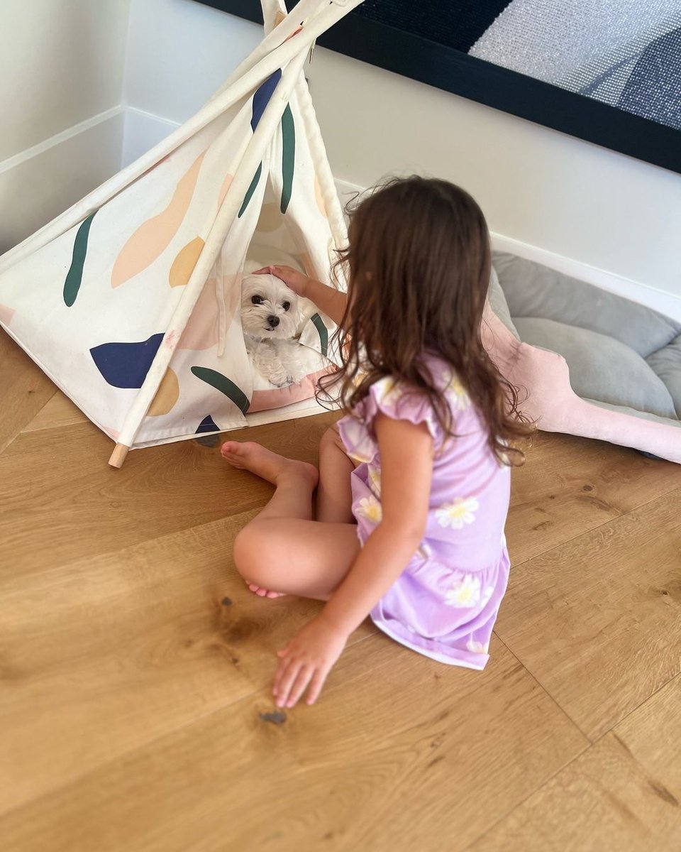 ElGordoyLaFlaca's tweet image. #Lupita la más consentida de #Vida 🐶❤️
📸 Lupita Pina