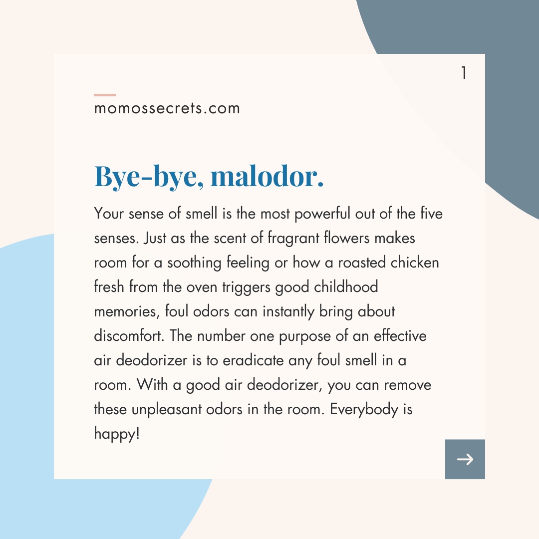 Momos Secrets tweet media