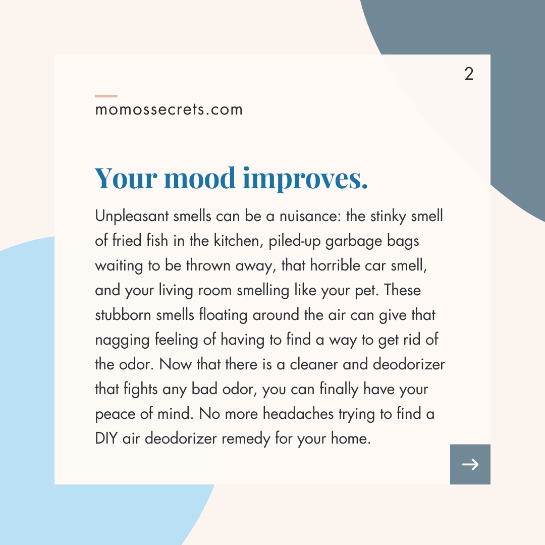 Momos Secrets tweet media