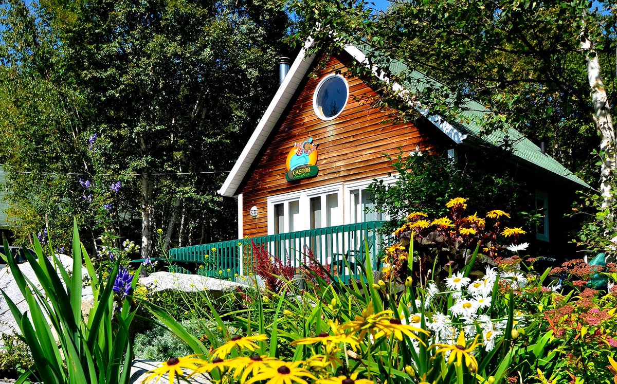 La biblio-plage de Mme Chose a un ami :  Chalets - Camping-Domaine des Dunes, contributeur 2024. 1000 mercis! domainedesdunes.com
#Biblioplage #MmeChose #contributeur2024 #lecture #litteratie #littérature #Culture #Tadoussac #cotenord